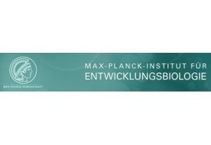 Max Planck Institute for Developmental Biology