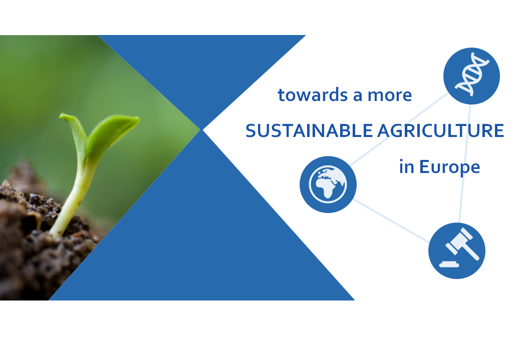 Towards a more sustainable agriculture in Europe